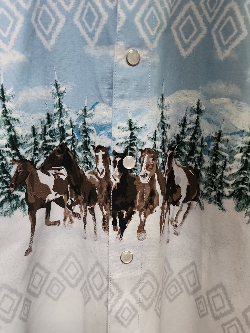 Panhandle Western Cowboy Horse Print Boys Shirt - Picture 3 of 8